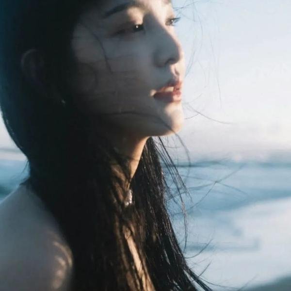 虎胆龙威之迷惘